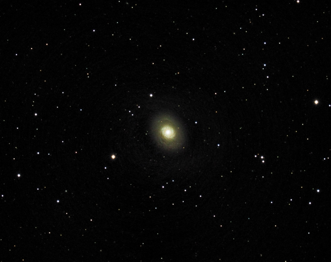 m94 seen using Celestron RASA 8 and ZWO ASI183MC