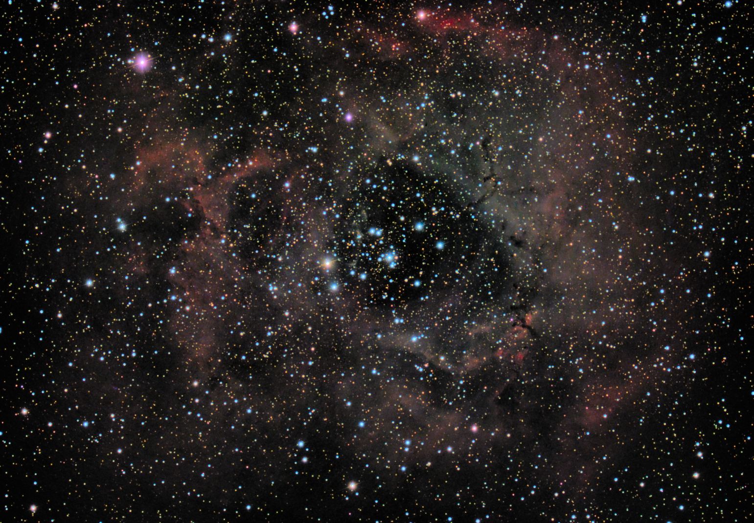 ngc2239 seen using Celestron RASA 8 and ZWO ASI183MC