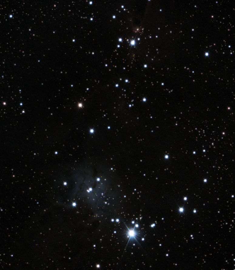 ngc2264 seen using Celestron RASA 8 and ZWO ASI183MC
