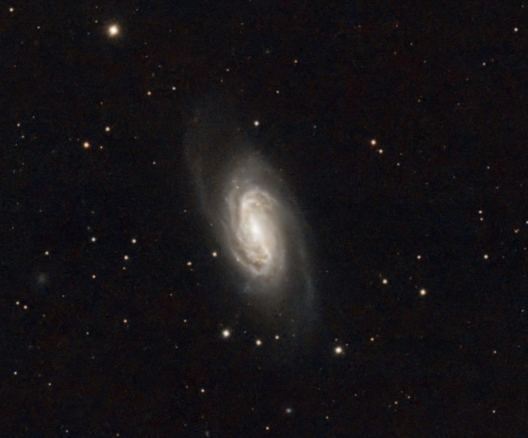 ngc2903-20240312+20240531-106min-cropCC+siril+AP.jpg seen using Celestron RASA 8 and ZWO ASI183MC