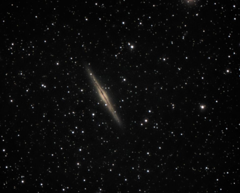 ngc891 seen using Celestron RASA 8 and ZWO ASI183MC